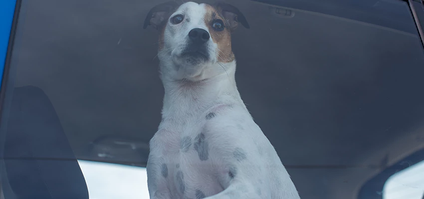 Car Lockout Solutions in Clearlake, California